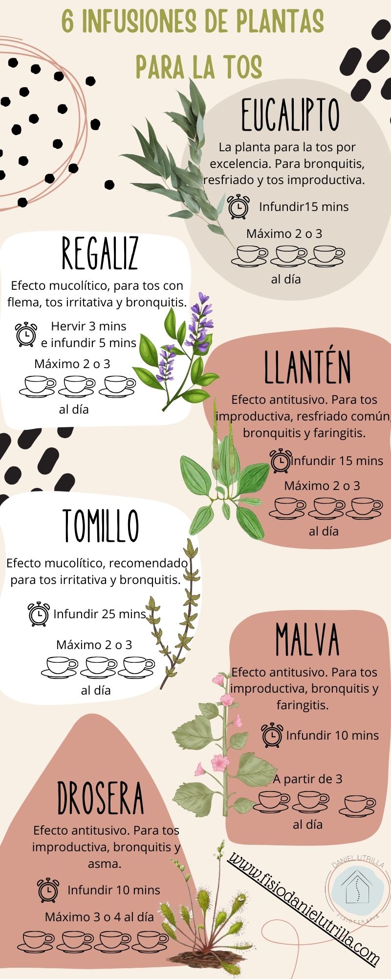 Plantas medicinales para la tos con flema - Guía PDF de regalo